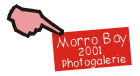 Découvrez la photogalerie ...